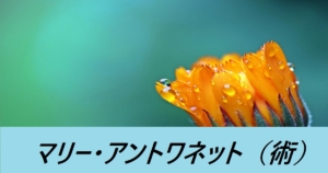 『水着マリー・アントワネット/限定』FGOおすすめ解説