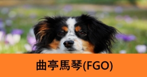 『曲亭馬琴/期間限定サーヴァント』ＦＧＯ性能・スキル・おすすめ編成まとめ