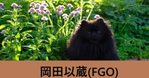 『岡田以蔵（期間限定）』ＦＧＯ性能・スキル・おすすめ編成まとめ