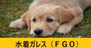 『水着ガレス（期間限定）』ＦＧＯ性能・スキル・おすすめ編成まとめ