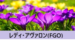 『レディ・アヴァロン（限定）』ＦＧＯ性能・スキル・おすすめ編成まとめ