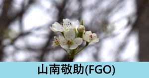 『山南敬助（期間限定）』ＦＧＯ性能・スキル・おすすめ編成まとめ