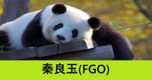 『秦良玉（恒常）』ＦＧＯ性能・スキル・おすすめ編成まとめ