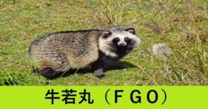『牛若丸（恒常サーヴァント）』ＦＧＯ性能・スキル・おすすめ編成まとめ