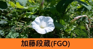 『加藤段蔵(ストーリー限定)』ＦＧＯ性能・スキル・おすすめ編成まとめ