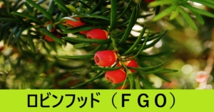 『ロビンフッド（恒常）』ＦＧＯ性能・スキル・おすすめ編成まとめ