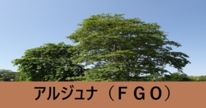 『アルジュナ（恒常）』ＦＧＯ性能・スキル・おすすめ編成まとめ