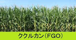 『ククルカン（期間限定）』ＦＧＯ性能・スキル・おすすめ編成まとめ