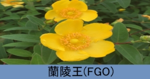 『蘭陵王（恒常サーヴァント）』ＦＧＯ性能・スキル・おすすめ編成まとめ