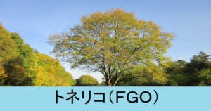 『雨の魔女トネリコ（期間限定）』ＦＧＯ性能・スキル・おすすめ編成まとめ