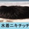 『水着ニキチッチ（期間限定）』ＦＧＯおすすめ性能解説