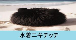 『水着ニキチッチ（期間限定）』ＦＧＯ性能・スキル・おすすめ編成まとめ