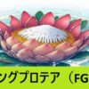 『キングプロテア（期間限定）』ＦＧＯおすすめ性能解説