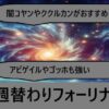 Thumbnail of related posts 093