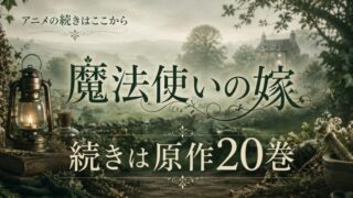 魔法使いの嫁のアニメはどこまで？続きは原作20巻から