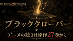 ブラッククローバー アニメの続きは27巻から【全38巻完結】